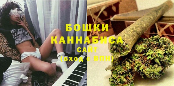 сатива Володарск
