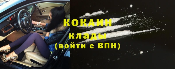 сатива Володарск