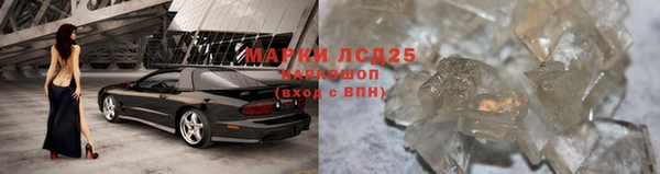 сатива Володарск