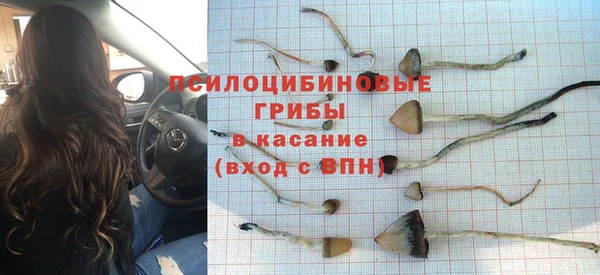 сатива Володарск