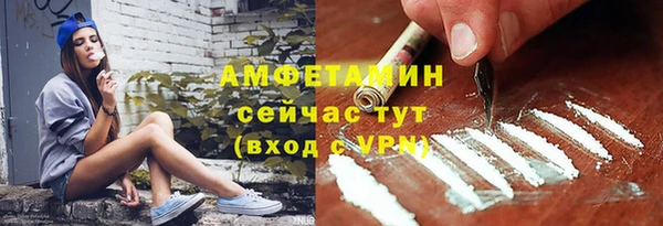 сатива Володарск