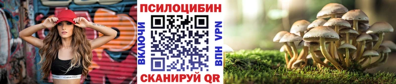 где можно купить наркотик  Всеволожск  Псилоцибиновые грибы Magic Shrooms 